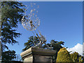 SJ8640 : Trentham Gardens: 'wishes do come true' (front) by Stephen Craven