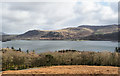 NY2420 : Woodland on west side of Derwent Water by Trevor Littlewood