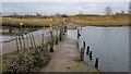 TM2222 : Kirby-le-Soken: Causeway at Kirby Quay by Nigel Cox