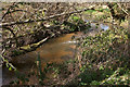 SX7881 : Wray Brook by Derek Harper