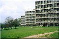 TQ2174 : Alton West Estate, Roehampton, 1966  13 by Alan Murray-Rust