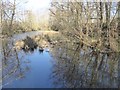 TQ5256 : A lagoon next to the East Lake at Sevenoaks Wildlife Reserve by Marathon