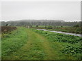 NT6625 : Riverside  track  and  the  remains  of  a  railway  bridge by Martin Dawes