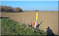 TA1451 : Gas Marker, Billings Lane by Des Blenkinsopp