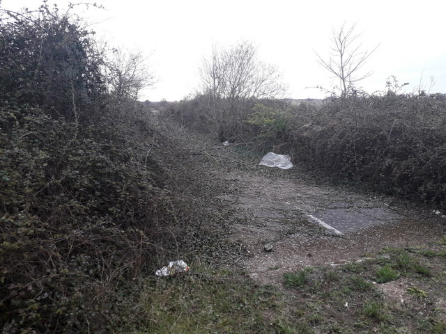 Hurn: an old road sign in the bushes