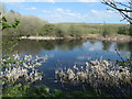 SE3522 : Small lake, Ferryboat Fields by Christine Johnstone