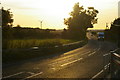 TL2988 : Looking west at Wells' Bridge, evening light by Christopher Hilton