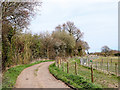 SO9095 : Farm road near Colton Hills in Staffordshire by Roger  D Kidd