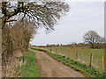 SO9095 : Farm road near Colton Hills in Staffordshire by Roger  D Kidd