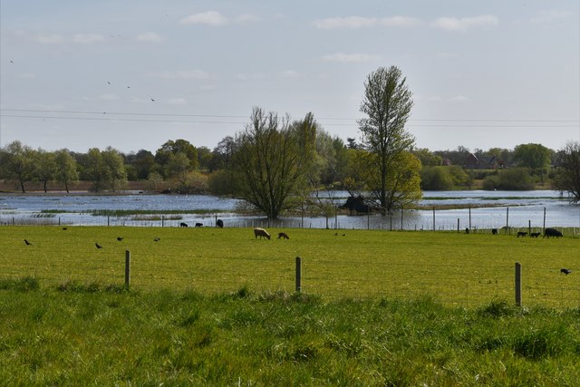 Dickleburgh Moor: Flooded drainage area