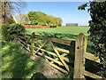 TF4212 : A double gate to Ox Field on Gote Lane, Gorefield by Richard Humphrey