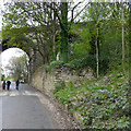 SE1423 : Retaining wall, Thornhills Beck Lane, Clifton by Humphrey Bolton