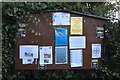 SJ2028 : St Silin's Church: Parish Notice Board by Bob Harvey