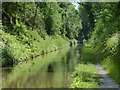 SJ6930 : Southern end of the Woodseaves Cutting by Mat Fascione