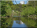 SE2635 : Kirkstall Valley Nature Reserve: river branches by Stephen Craven