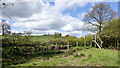 NZ1037 : Unusual hedge crossing by public footpath by Trevor Littlewood