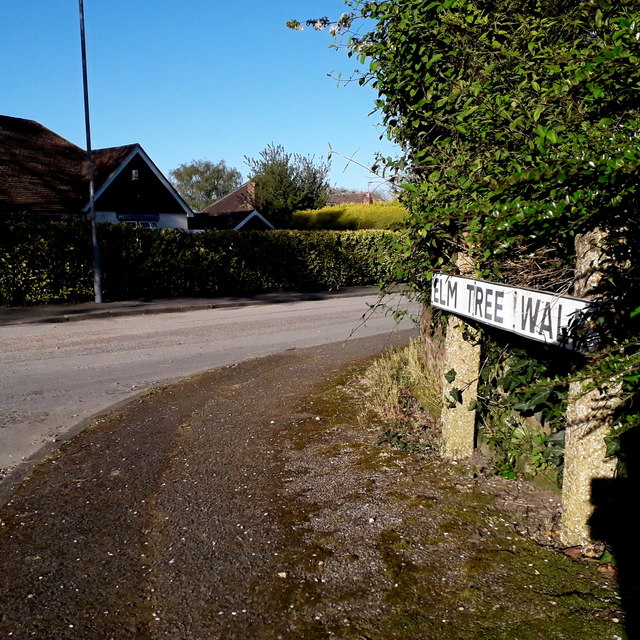 West Parley: Elm Tree Walk