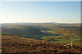 NC7100 : Fence Line at An Droighneach, above Strath Fleet, Sutherland by Andrew Tryon