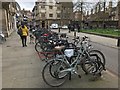 TL4458 : Cambridge bikes by David Lally