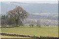 SK2262 : Nine Stones Close Stone Circle by David Lally