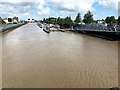 TF4609 : A high tide in Wisbech Marina. by Richard Humphrey