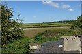 SK6636 : View at Cropwell Bottom Lock by Alan Murray-Rust