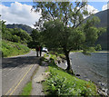 NY1915 : B5289 by Buttermere by Hugh Venables