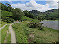 NY1915 : Path by Buttermere by Hugh Venables