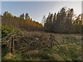 NH6433 : Wrought Iron Gate on the Easterton to Bunachton Track by valenta