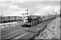 SJ6551 : Southbound freight train at Nantwich  1963 by Alan Murray-Rust