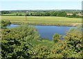 SK6944 : River Trent near East Bridgford by Alan Murray-Rust