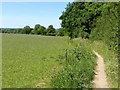 SK6843 : Footpath from the churchyard, East Bridgford by Alan Murray-Rust