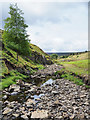 NY9734 : Low water level in Bollihope Burn by Trevor Littlewood