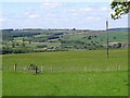 NZ1053 : View over the fields near Shotley Station by Robert Graham