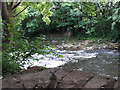 SE2436 : Remains of St Helen's Weir on the River Aire by Stephen Craven