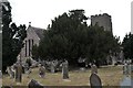 SO7008 : Yew tree at St Andrew's Church, Awre by John Winder