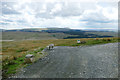 SD8282 : Sheep at top of track to Cam Houses by Andy Waddington