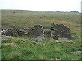 SE0509 : The ruined Far New Close farmstead by Christine Johnstone