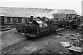 SH5837 : Festiniog Railway  1965. End of day at Boston Lodge by Alan Murray-Rust