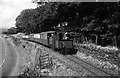 SH5838 : Festiniog Railway train approaching The Cob  1965 by Alan Murray-Rust