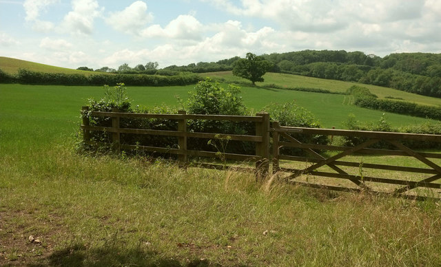 Fence and gate near Furzey Close