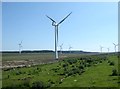 NY9182 : Green Rigg windfarm by Oliver Dixon