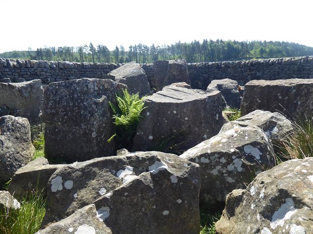 Interior of sheepfold