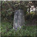 D4201 : Ballylumford Triangulation Pillar by Rossographer