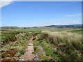 NT0650 : Moorland track at Green Side by Alan O'Dowd