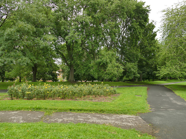 Wortley Recreation Ground: rose bed