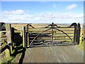 NZ0646 : Gate at Palmers Bridge by Robert Graham