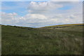 SD6263 : Beside a Tributary of Goodber Beck by Chris Heaton