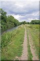 TL4915 : Great Willowherb by the Stort Navigation by Glyn Baker