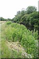 TL4916 : Habitat Pile by the Stort Navigation by Glyn Baker